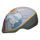 Winnie the Pooh